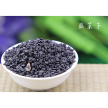 Good Quality 100% Natural Tuber Onion Seed Extract